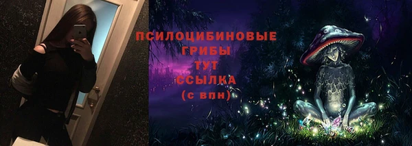 гашик Абдулино